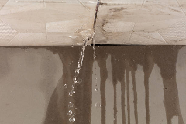 Professional Structural Drying technician working in Greensboro, AL